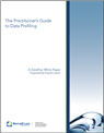 The Practitioners Guide to Data Profiling